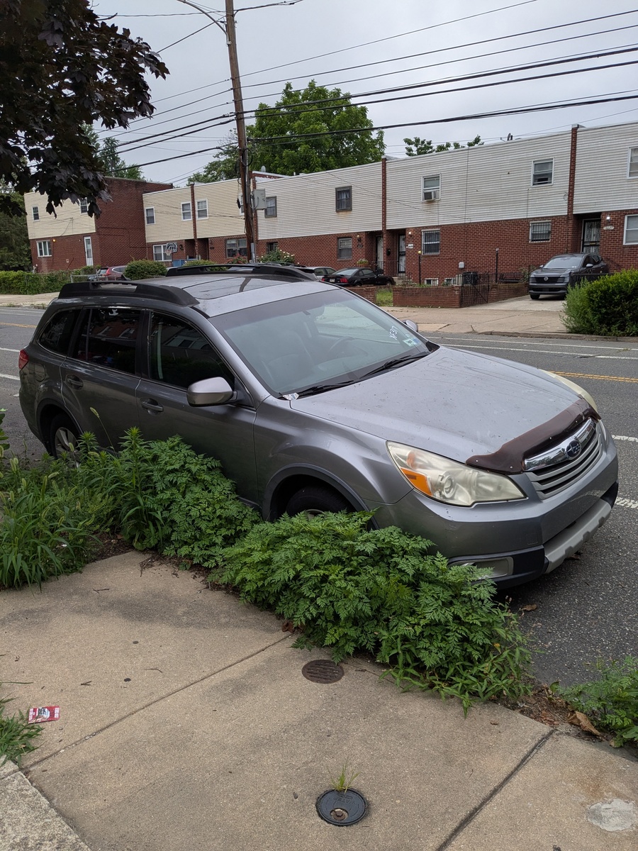 Photographic documentation of the work as submitted to the city's 311 record.