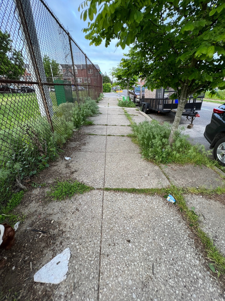 Photographic documentation of the work as submitted to the city's 311 record.