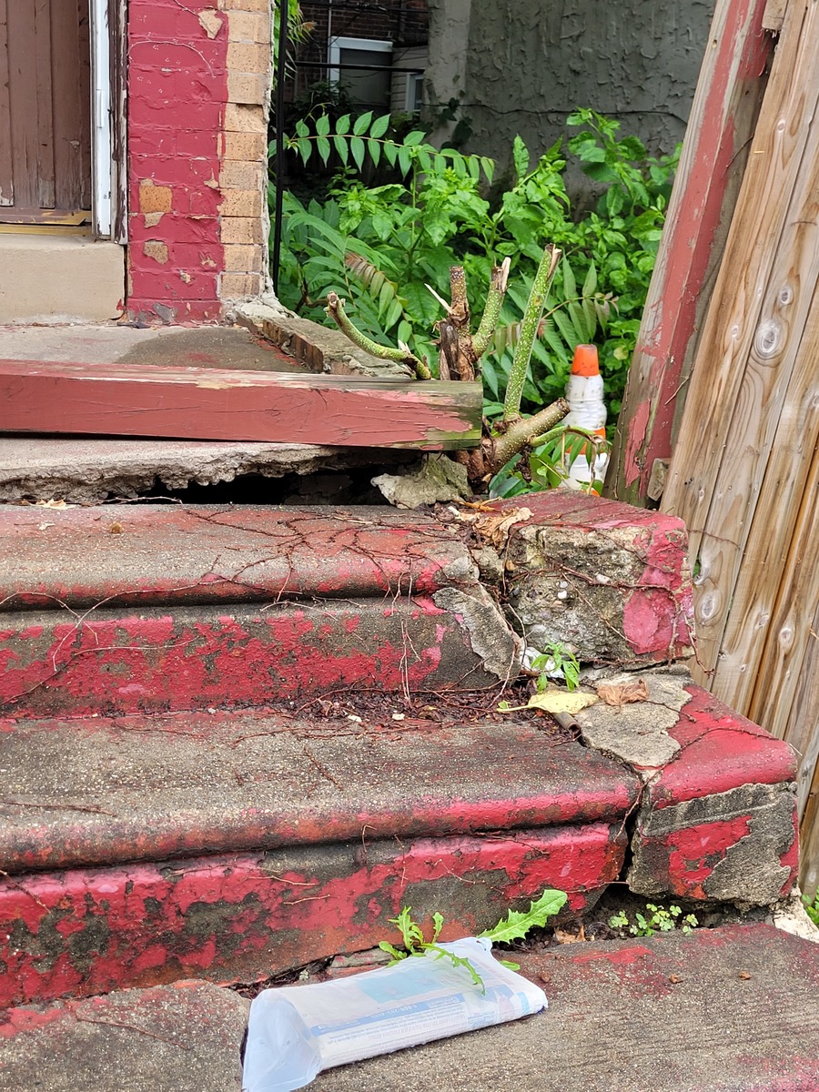 Photographic documentation of the work as submitted to the city's 311 record.