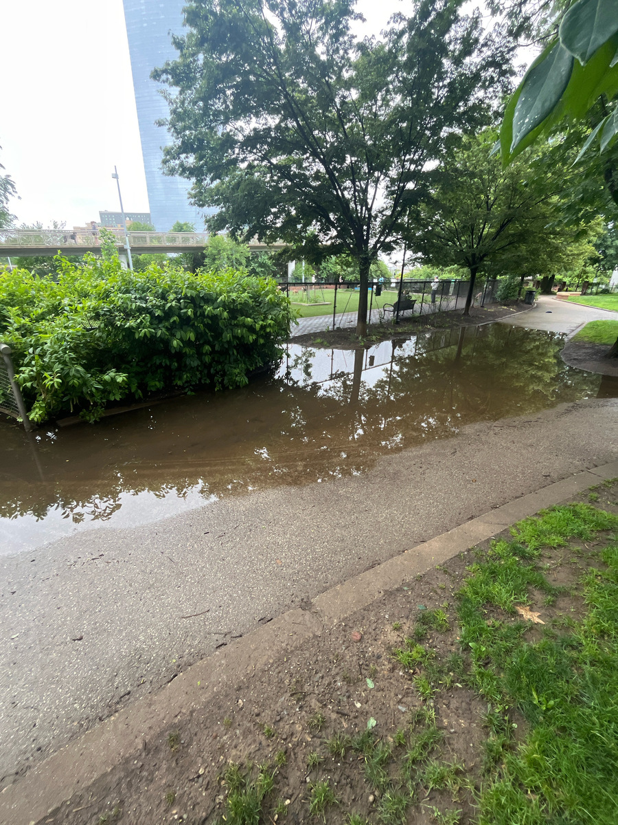 Photographic documentation of the work as submitted to the city's 311 record.