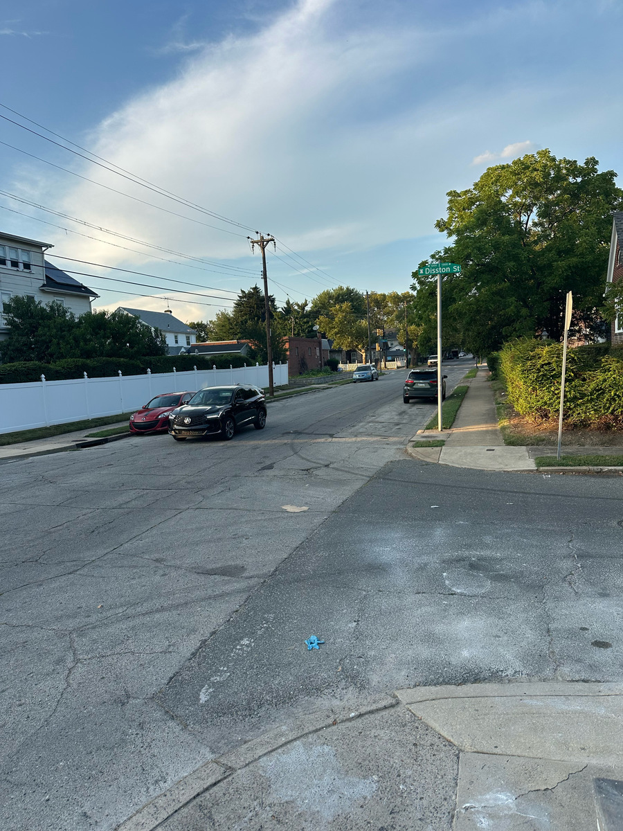 Photographic documentation of the work as submitted to the city's 311 record.