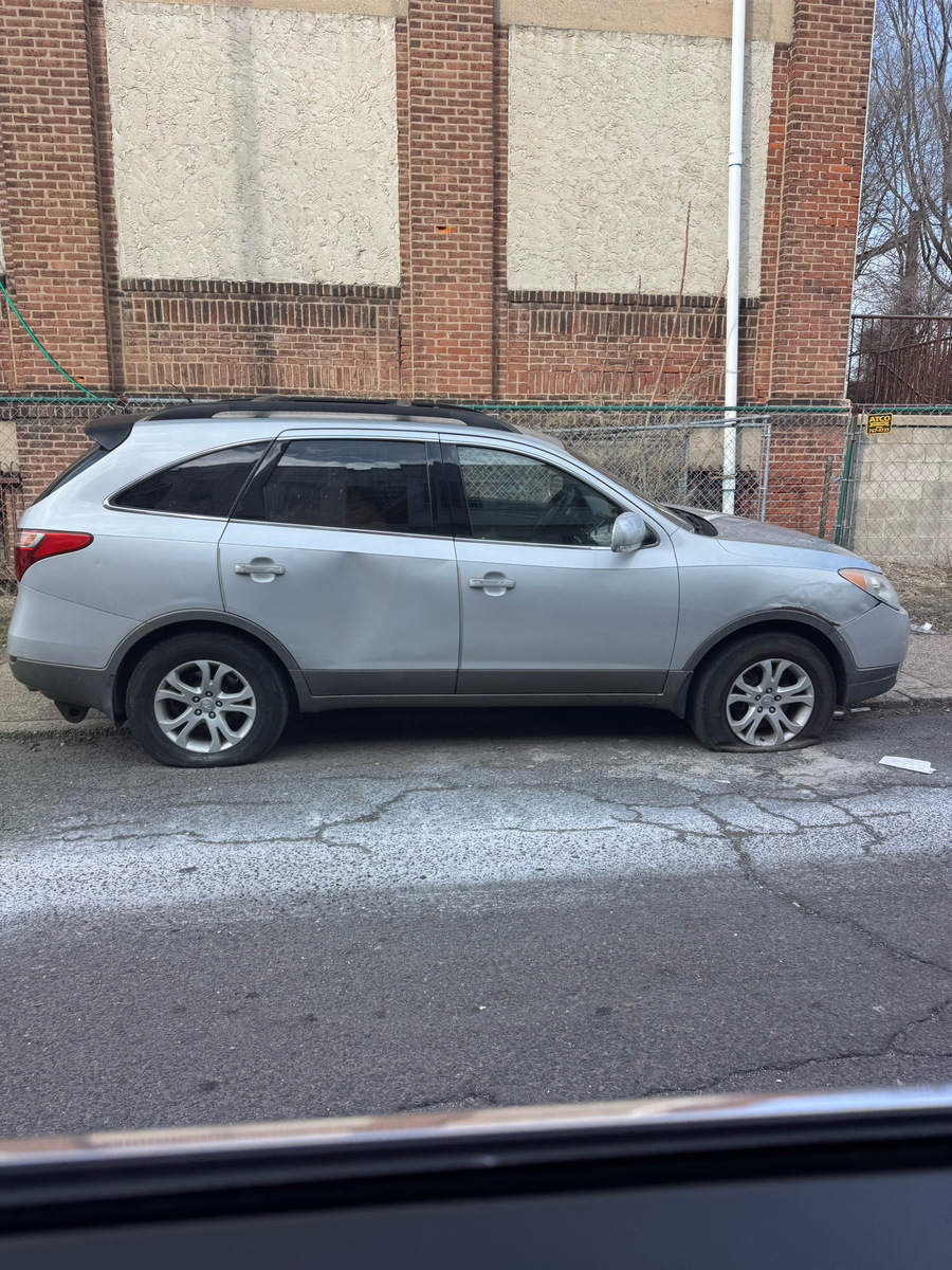 Photographic documentation of the work as submitted to the city's 311 record.