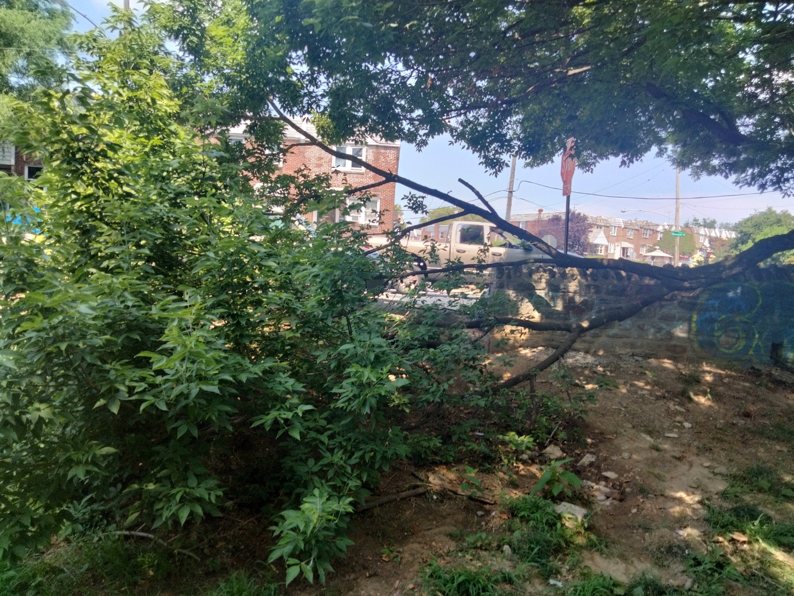 Photographic documentation of the work as submitted to the city's 311 record.