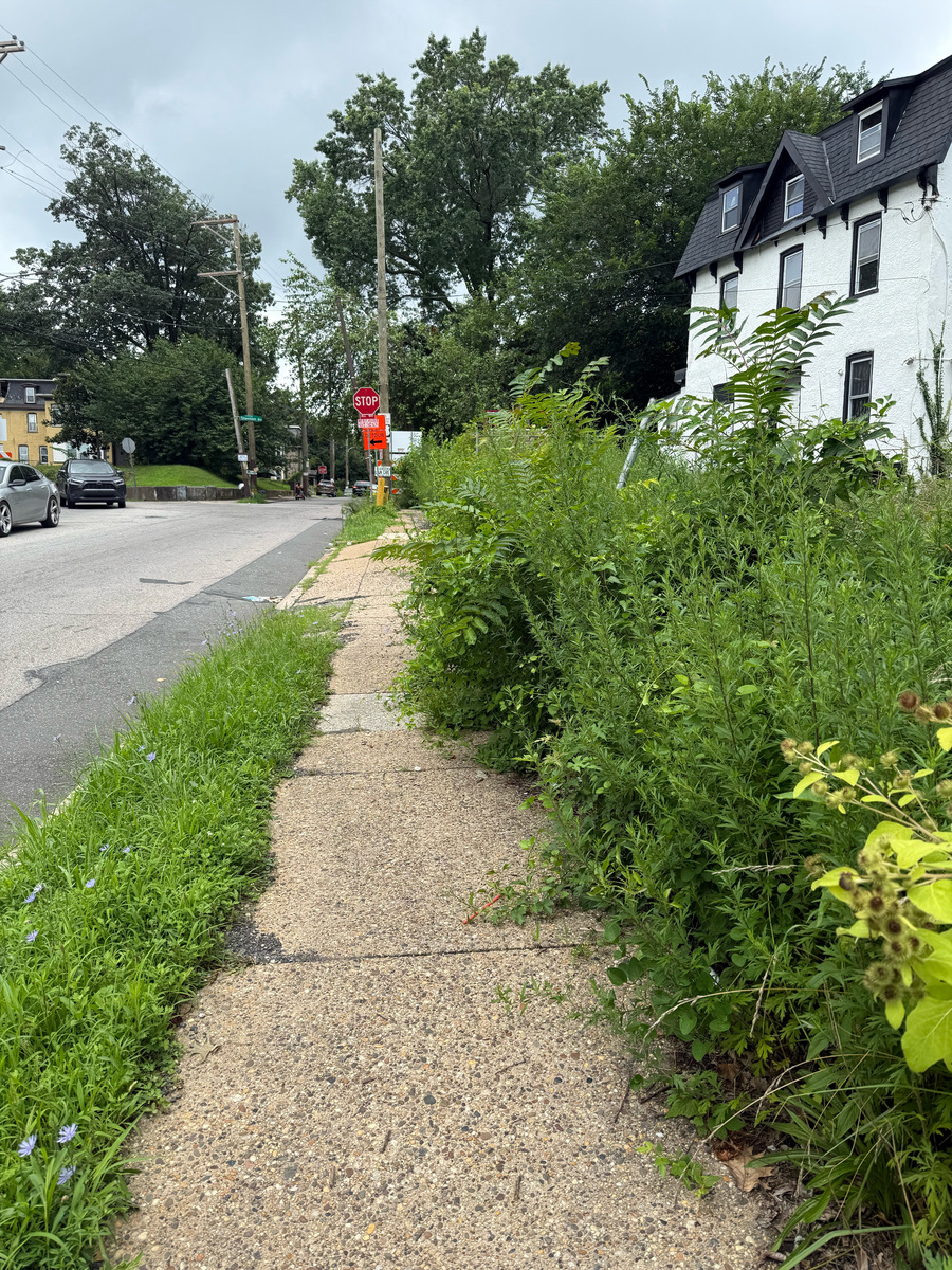 Photographic documentation of the work as submitted to the city's 311 record.