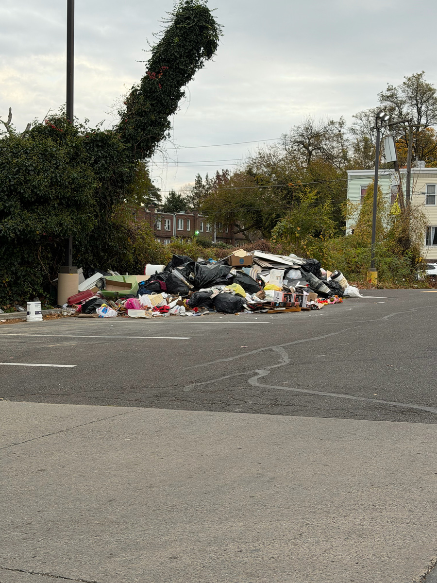 Photographic documentation of the work as submitted to the city's 311 record.