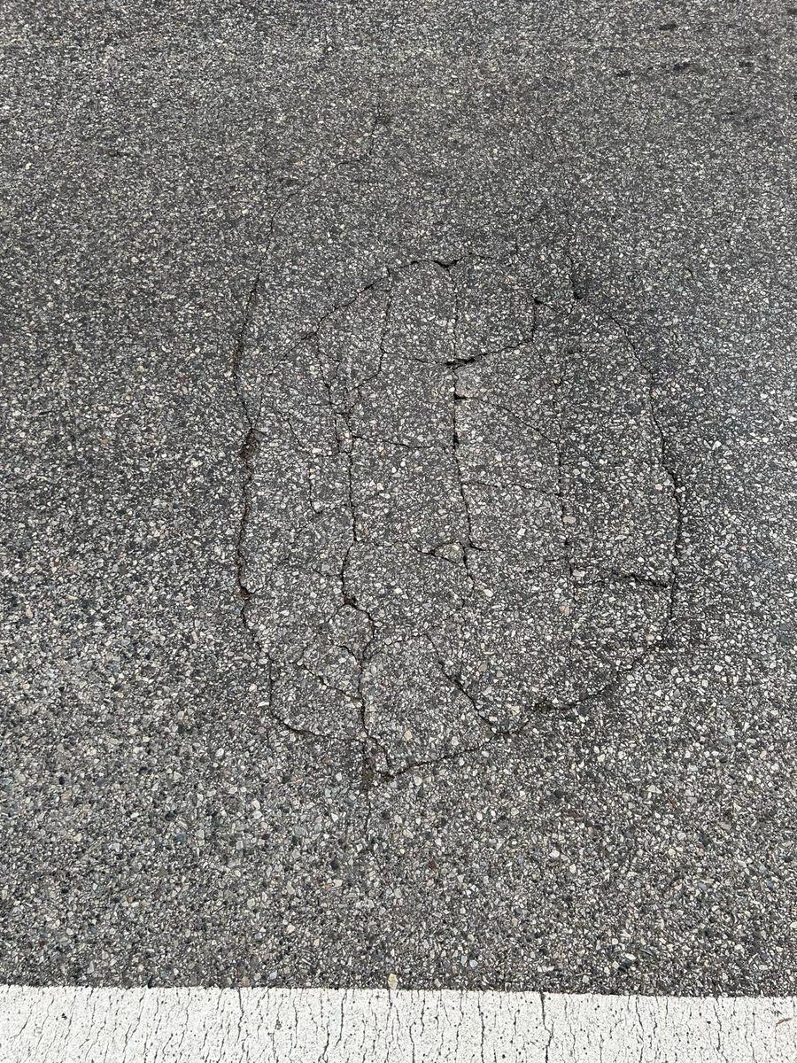Photographic documentation of the work as submitted to the city's 311 record.