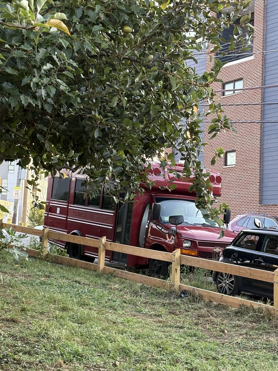 Photographic documentation of the work as submitted to the city's 311 record.