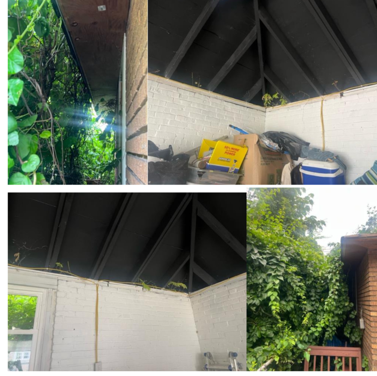 Photographic documentation of the work as submitted to the city's 311 record.