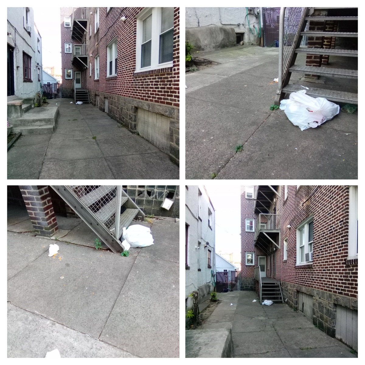 Photographic documentation of the work as submitted to the city's 311 record.
