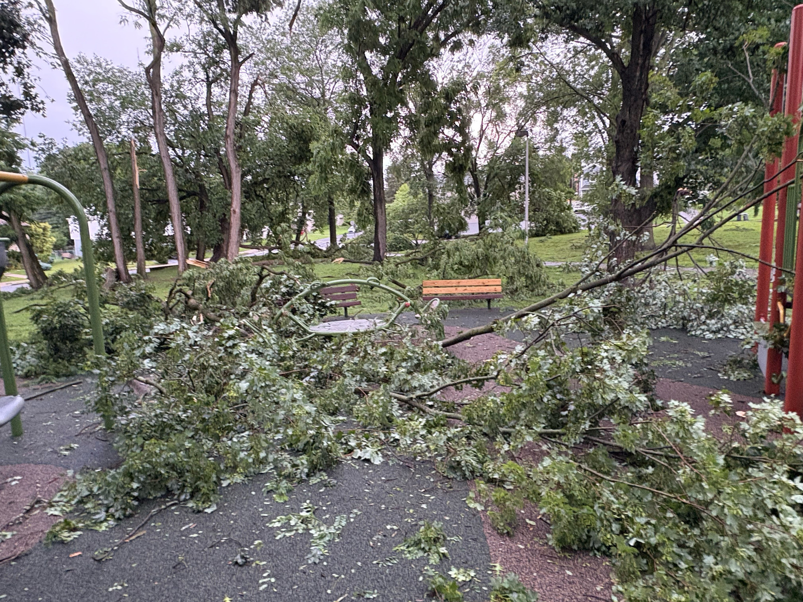 Photographic documentation of the work as submitted to the city's 311 record.