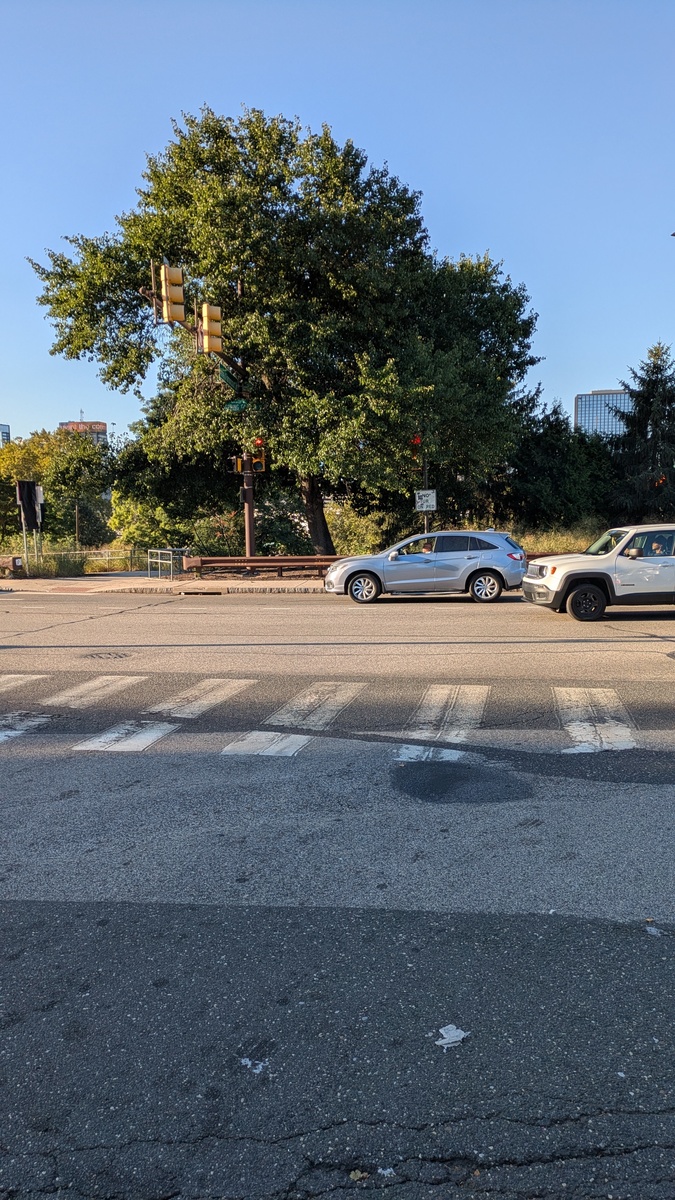Photographic documentation of the work as submitted to the city's 311 record.