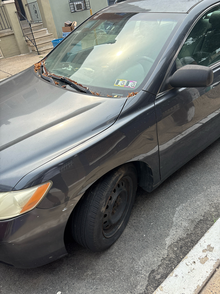 Photographic documentation of the work as submitted to the city's 311 record.