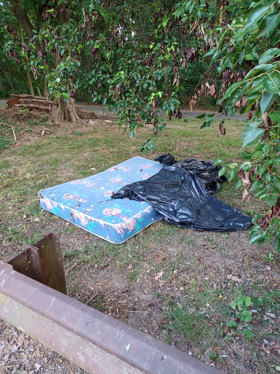 Photographic documentation of the work as submitted to the city's 311 record.