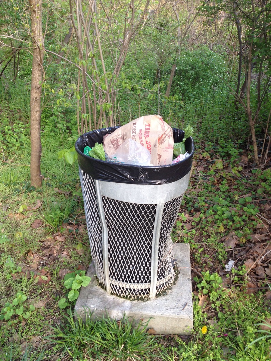 Photographic documentation of the work as submitted to the city's 311 record.