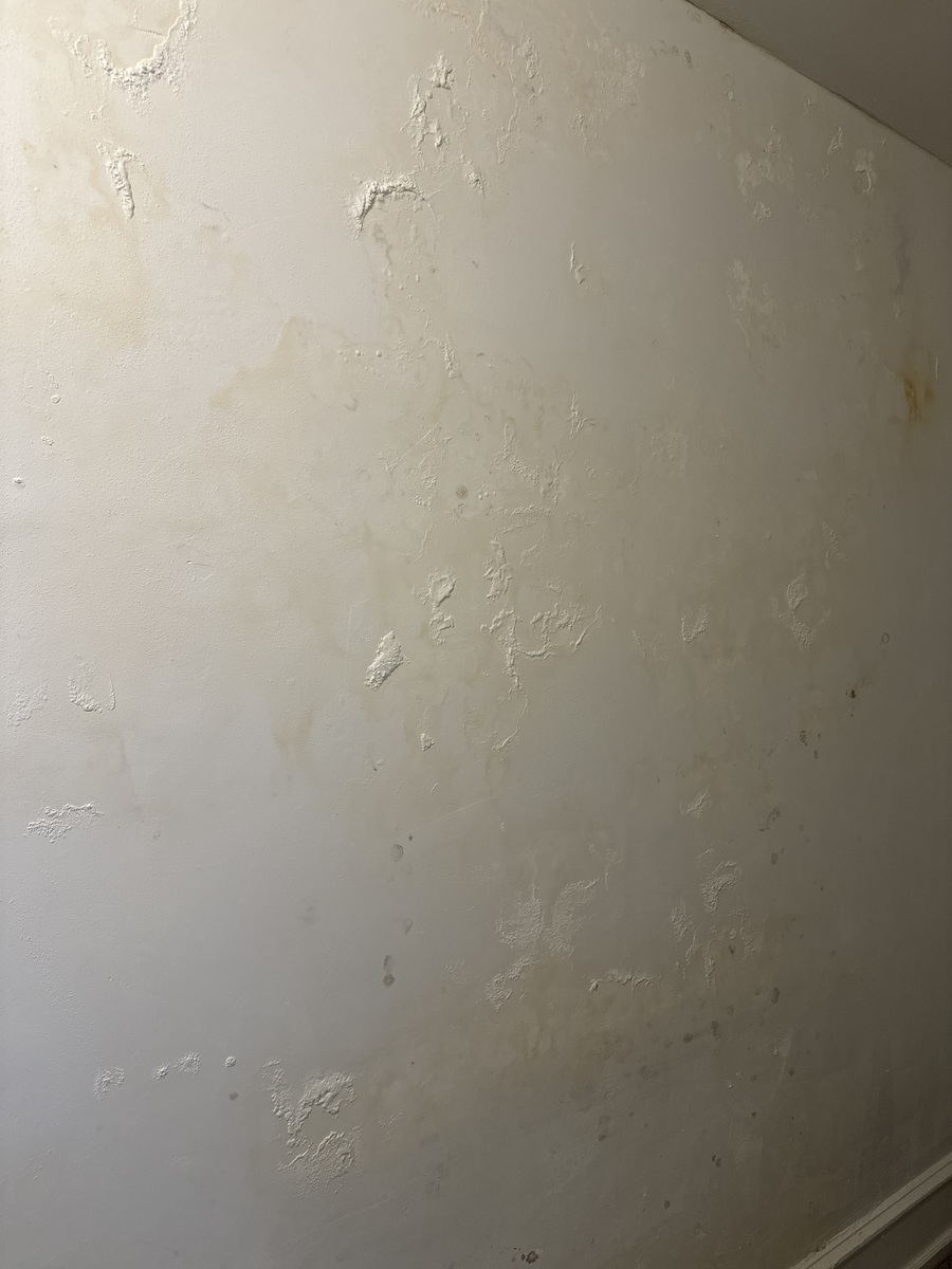 Photographic documentation of the work as submitted to the city's 311 record.