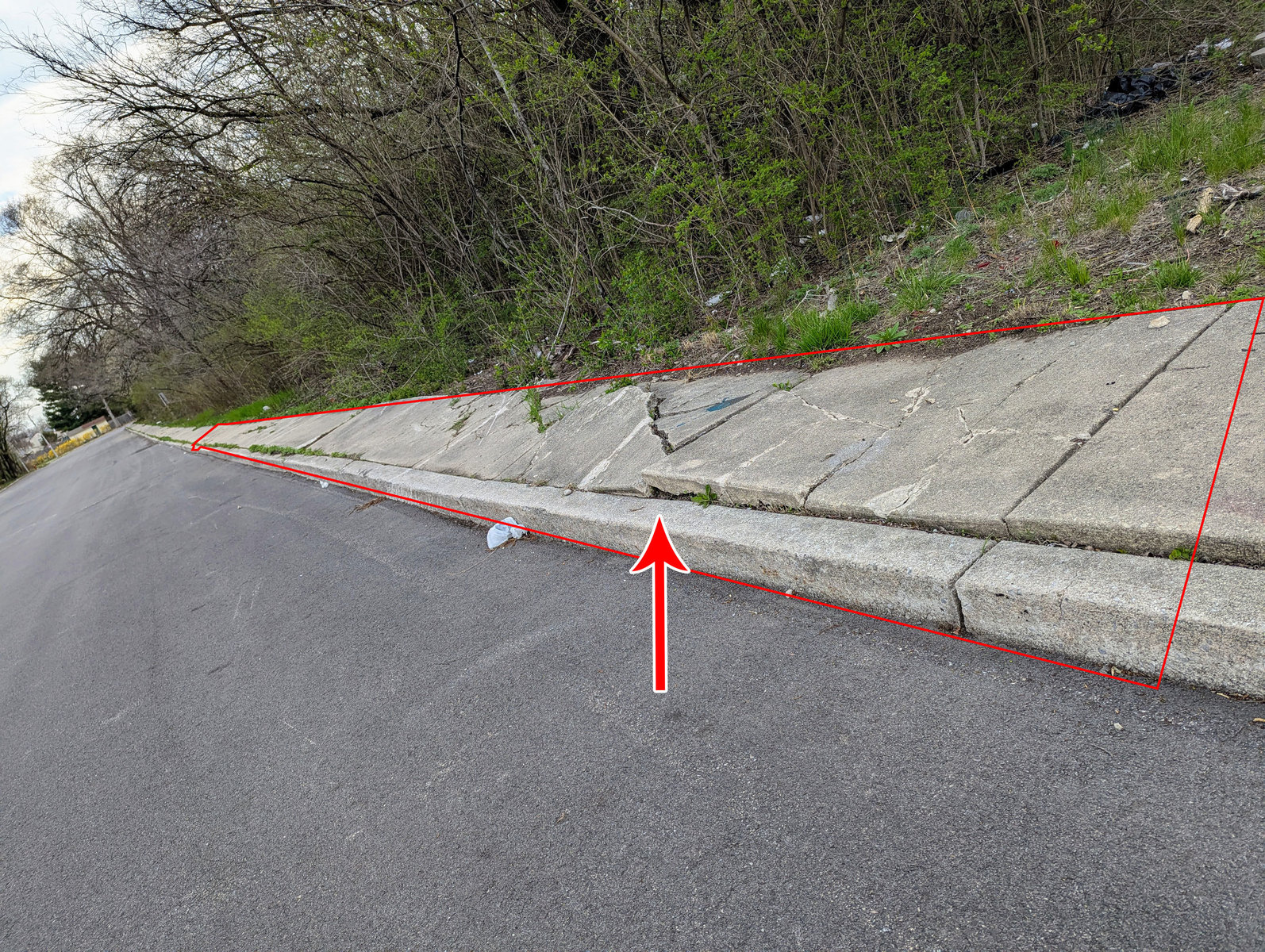 Photographic documentation of the work as submitted to the city's 311 record.