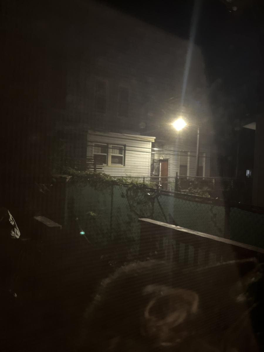 Photographic documentation of the work as submitted to the city's 311 record.