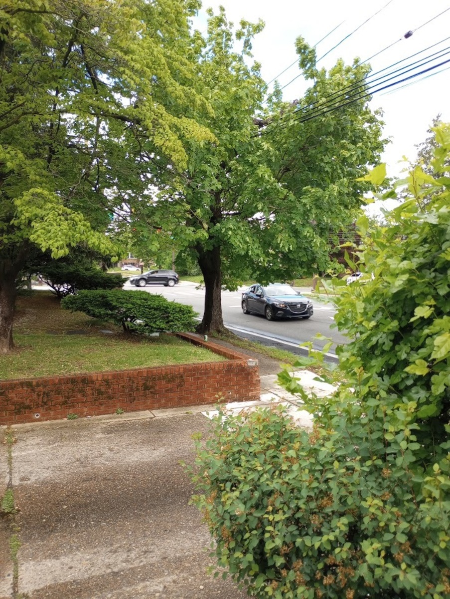 Photographic documentation of the work as submitted to the city's 311 record.