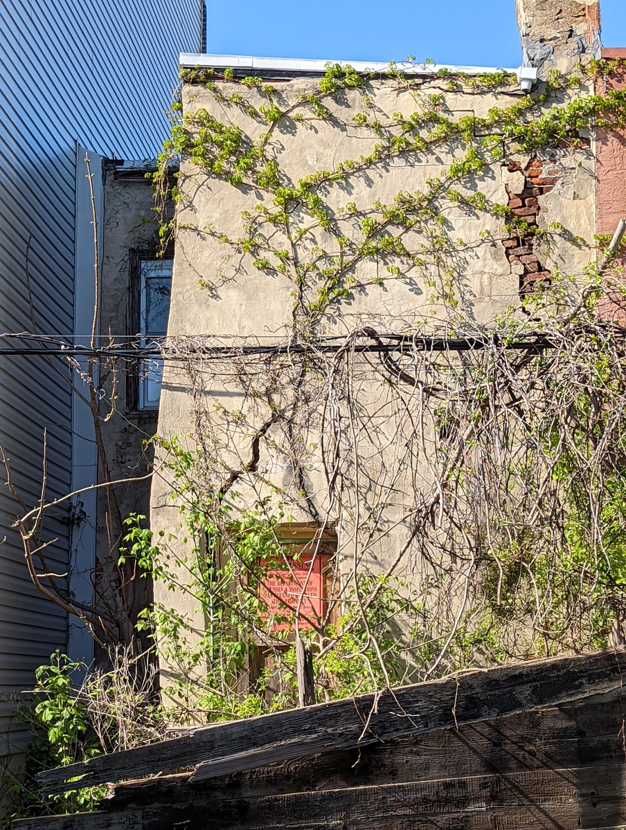 Photographic documentation of the work as submitted to the city's 311 record.