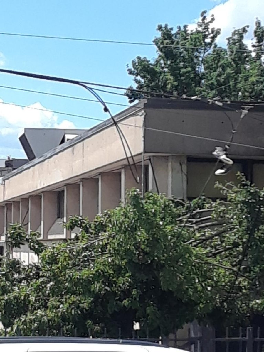 Photographic documentation of the work as submitted to the city's 311 record.