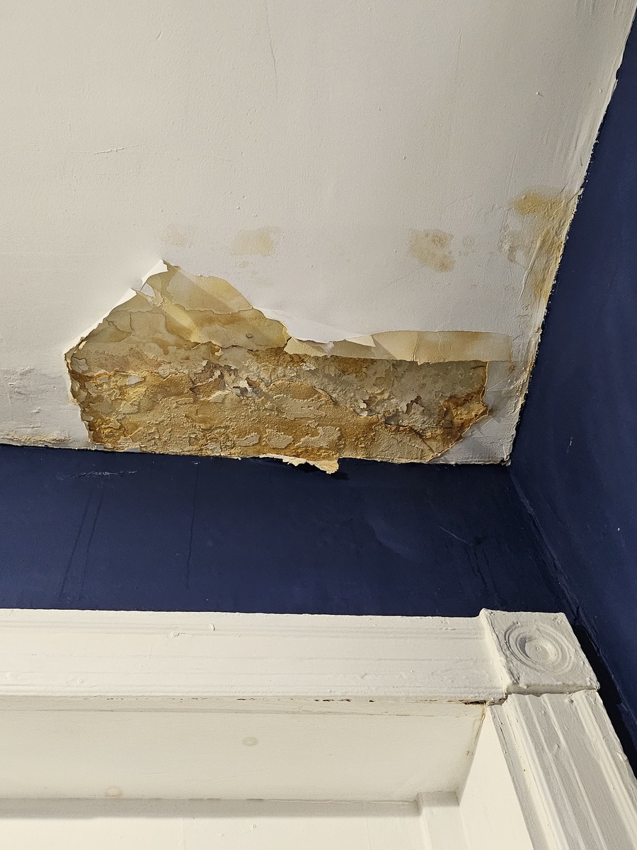 Photographic documentation of the work as submitted to the city's 311 record.