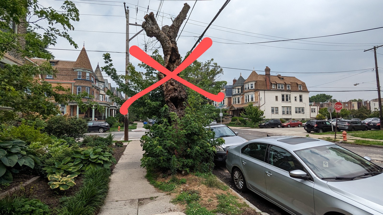 Photographic documentation of the work as submitted to the city's 311 record.