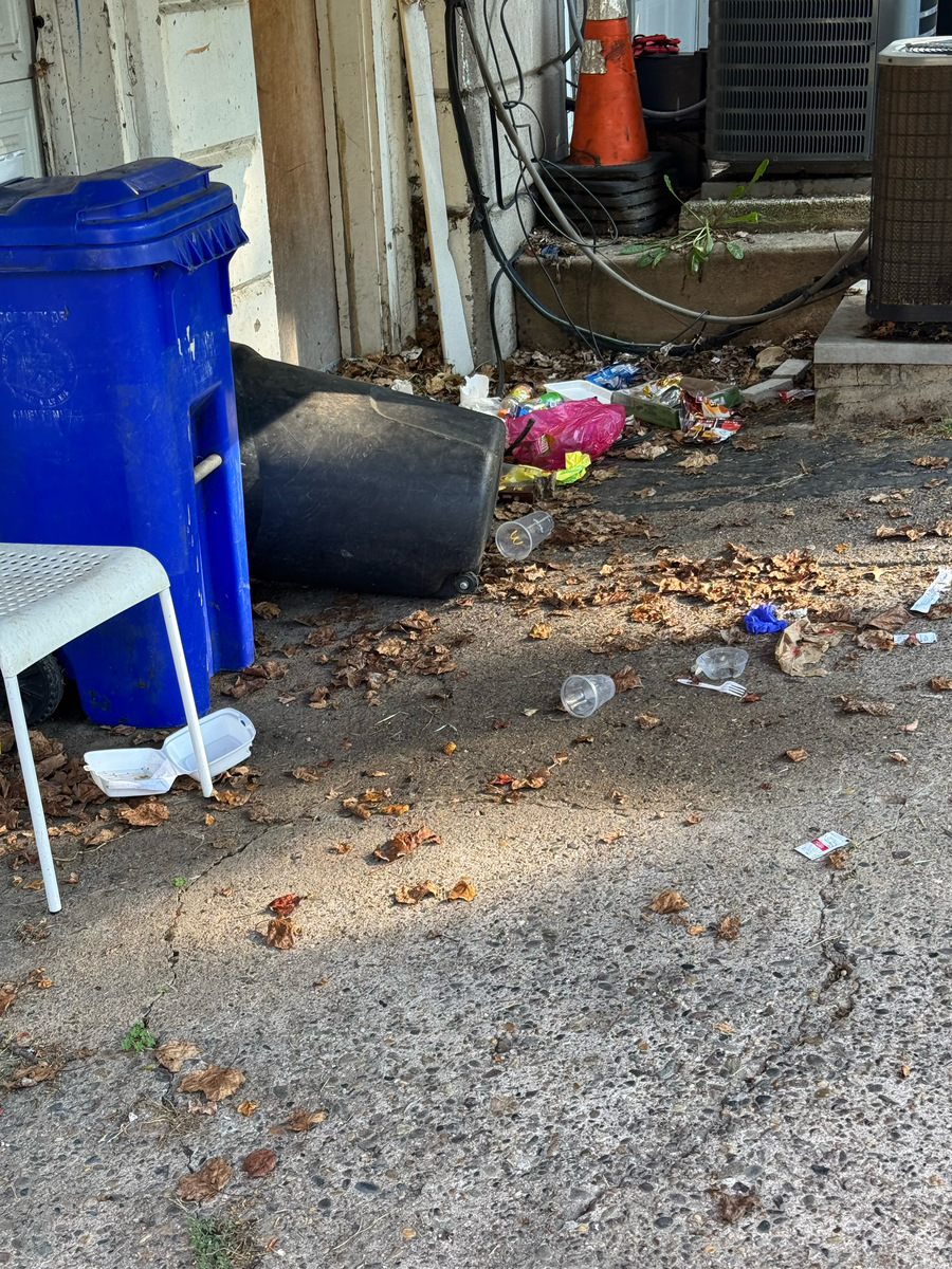 Photographic documentation of the work as submitted to the city's 311 record.