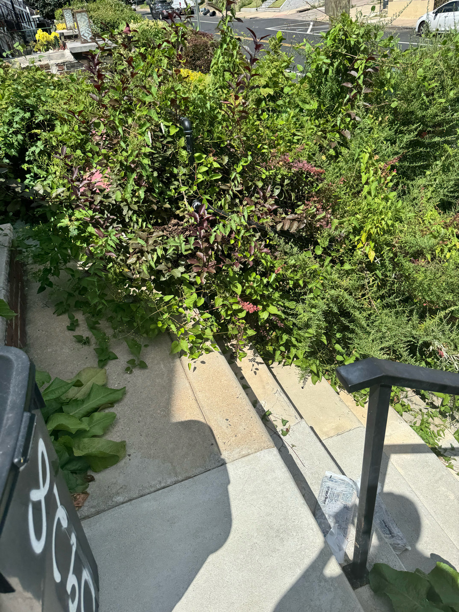 Photographic documentation of the work as submitted to the city's 311 record.