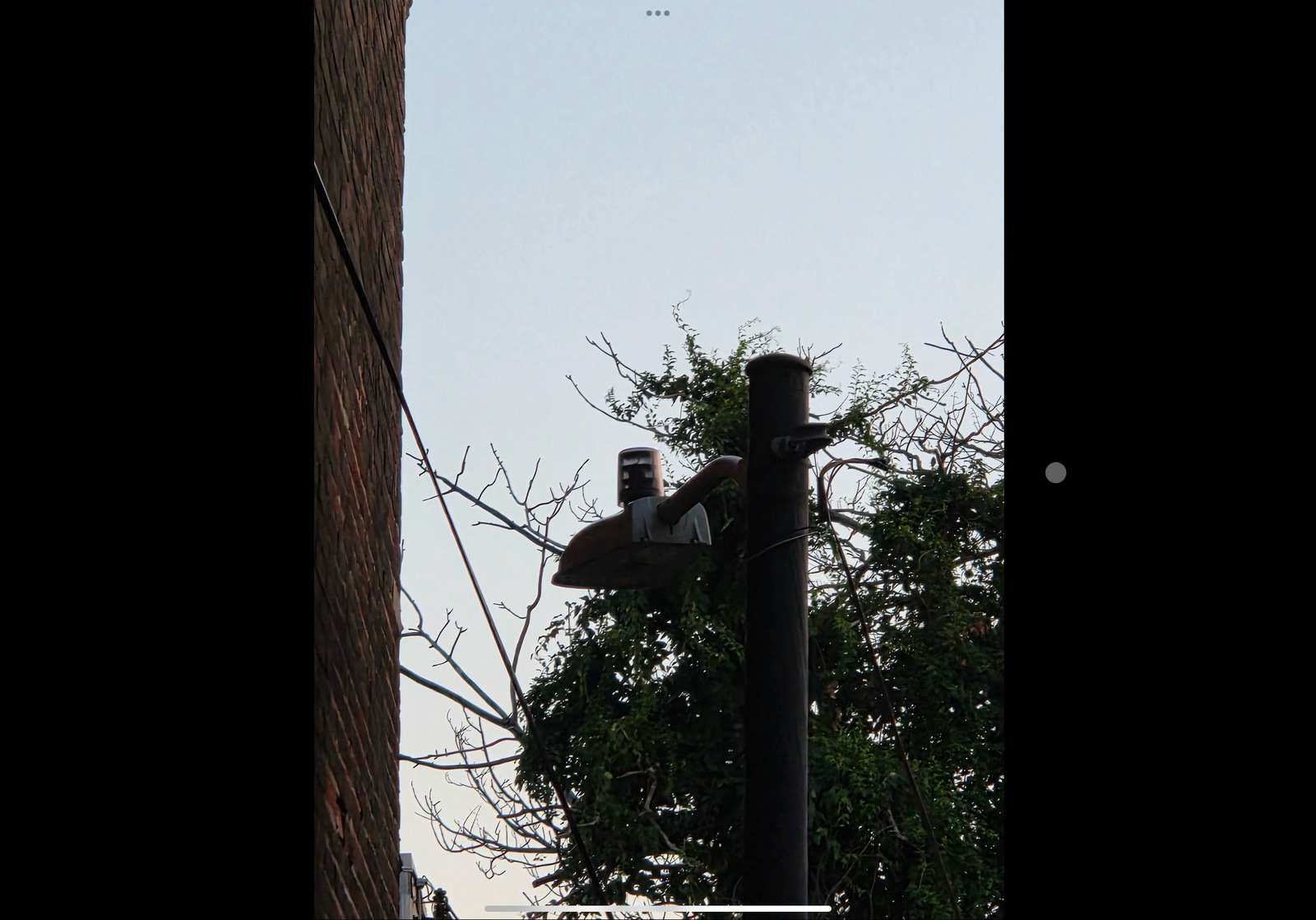 Photographic documentation of the work as submitted to the city's 311 record.