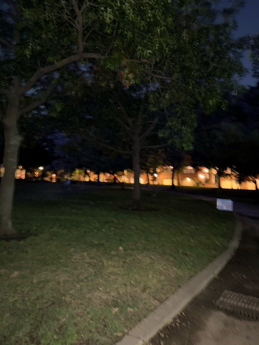 Photographic documentation of the work as submitted to the city's 311 record.