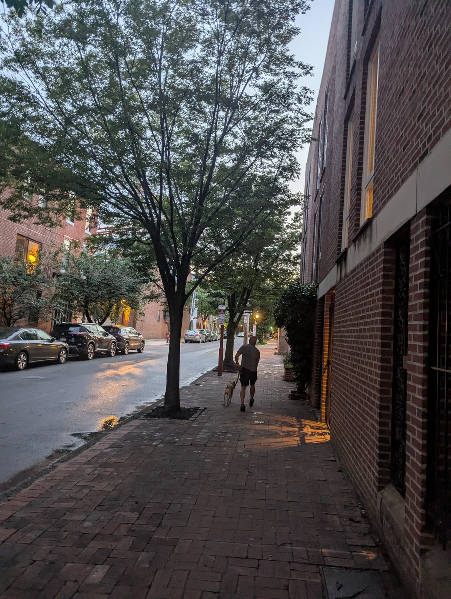 Photographic documentation of the work as submitted to the city's 311 record.