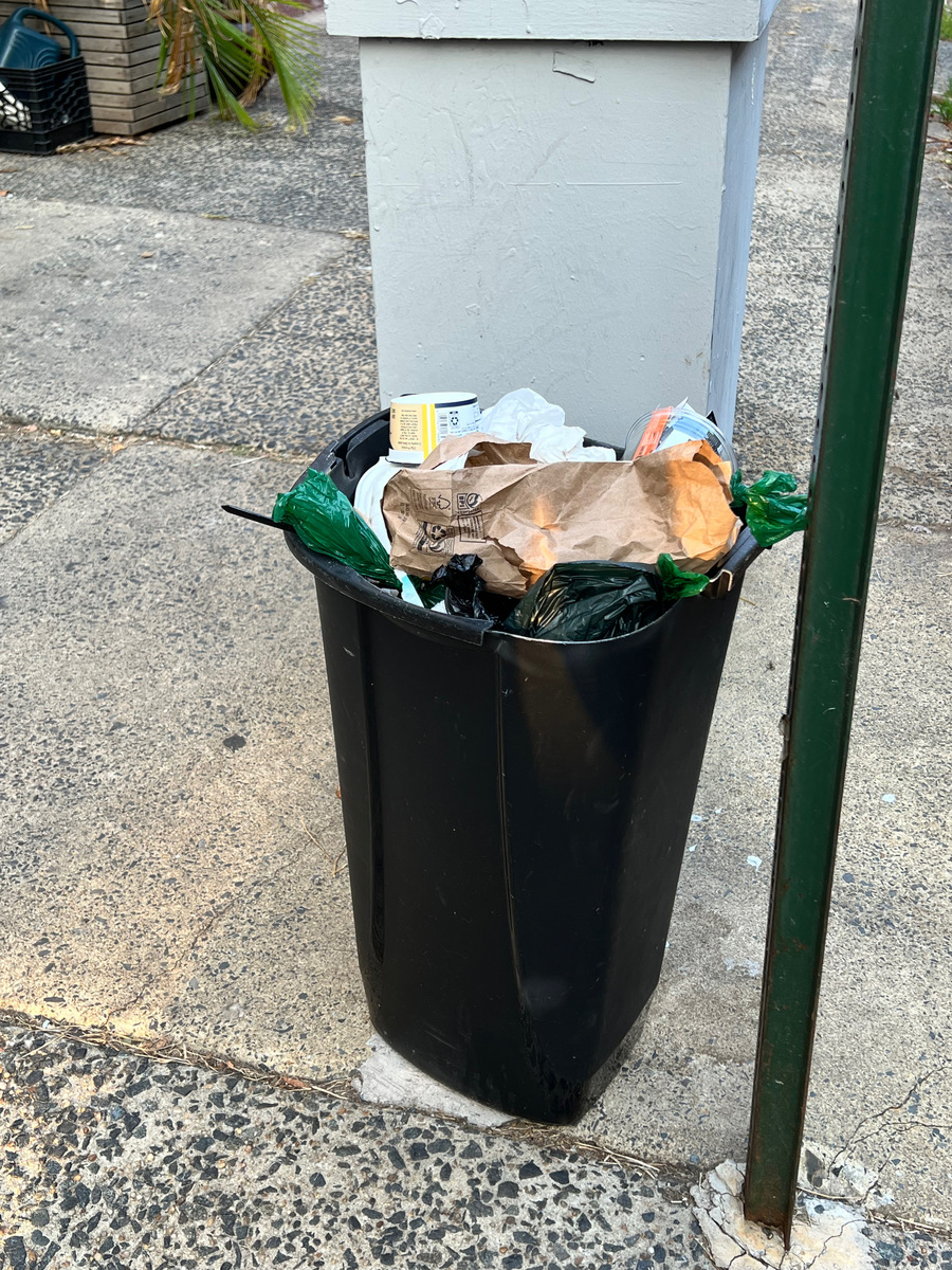 Photographic documentation of the work as submitted to the city's 311 record.