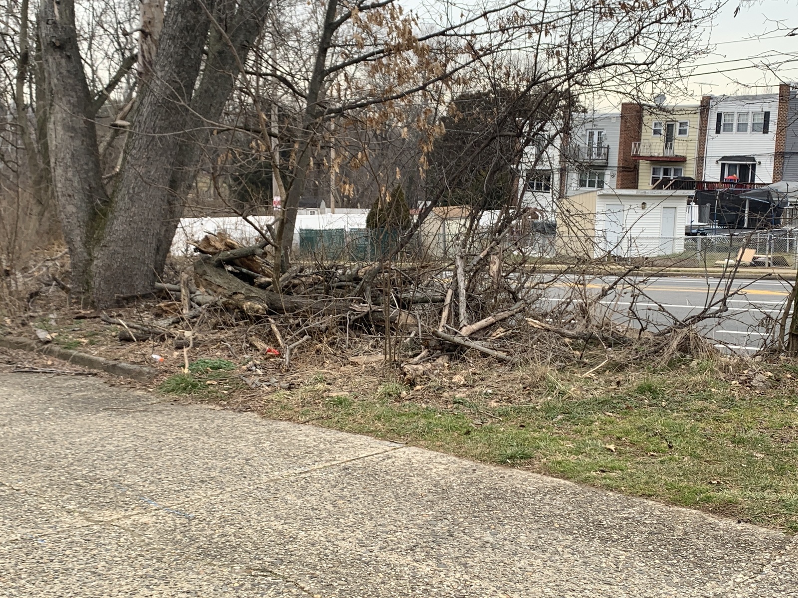 Photographic documentation of the work as submitted to the city's 311 record.