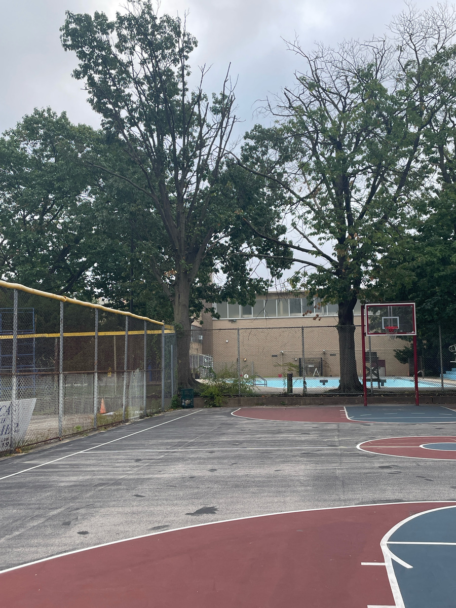 Photographic documentation of the work as submitted to the city's 311 record.