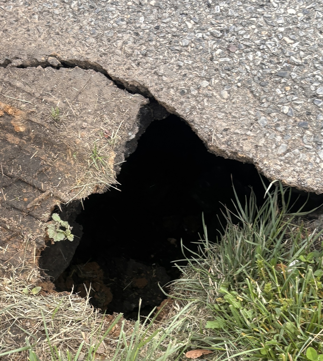 Photographic documentation of the work as submitted to the city's 311 record.