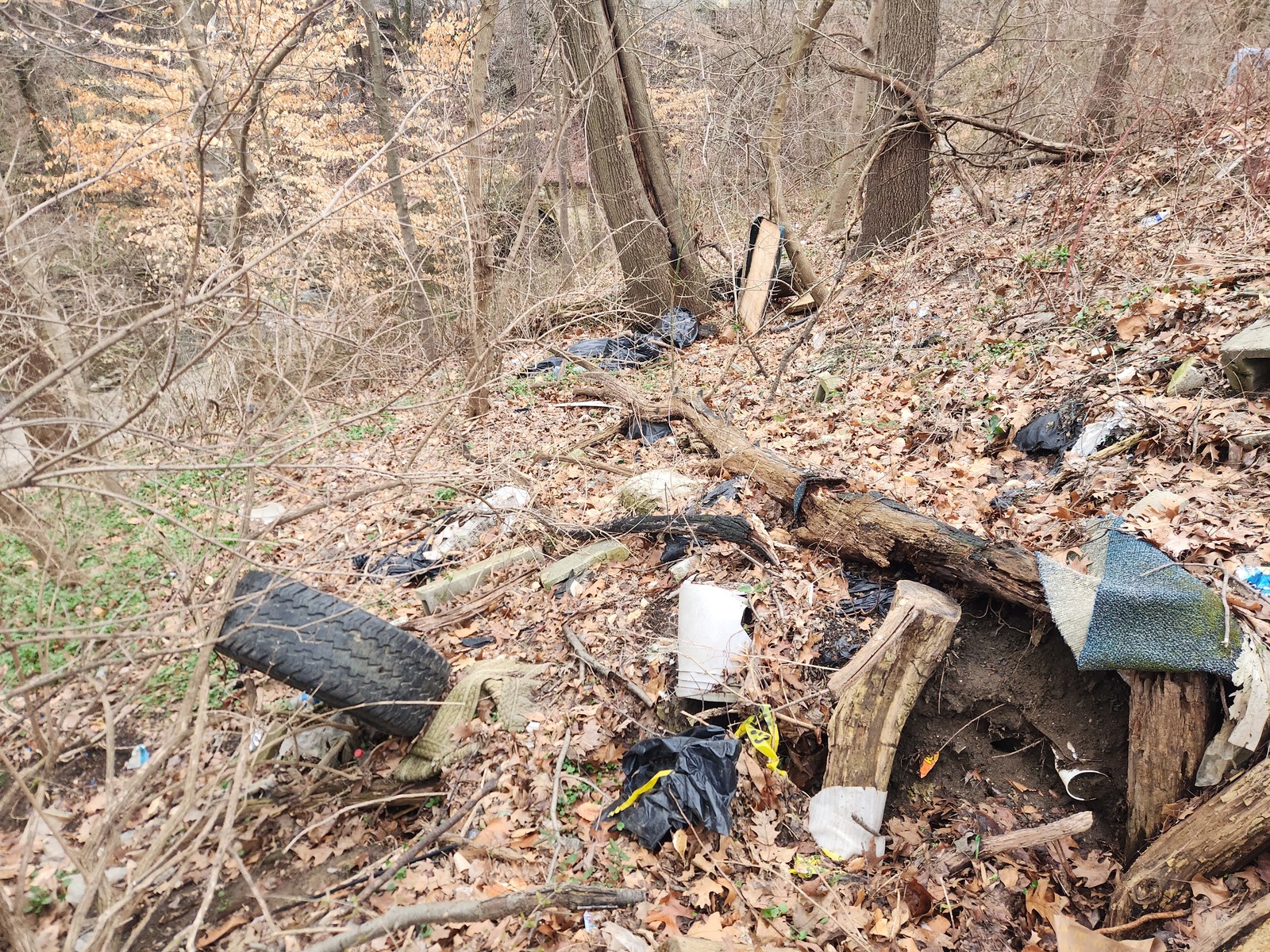 Photographic documentation of the work as submitted to the city's 311 record.