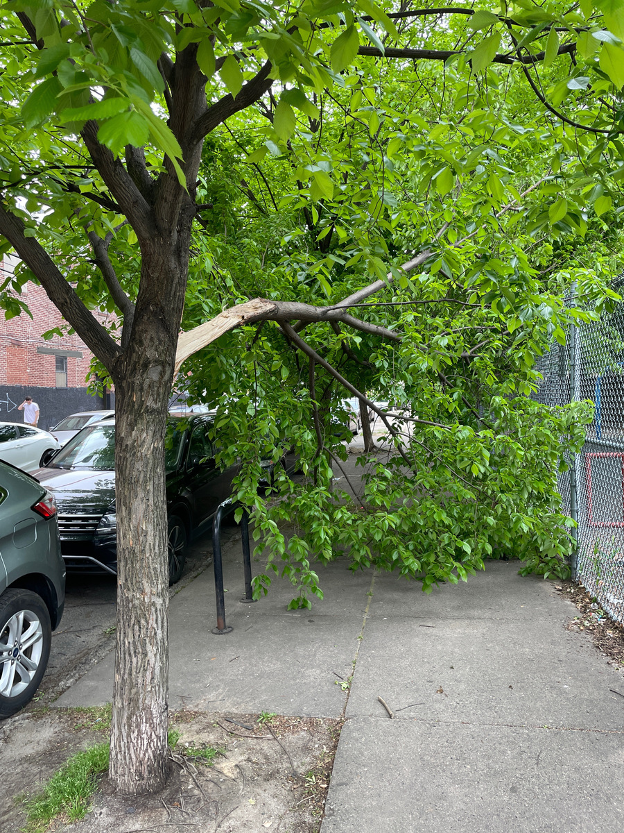 Photographic documentation of the work as submitted to the city's 311 record.