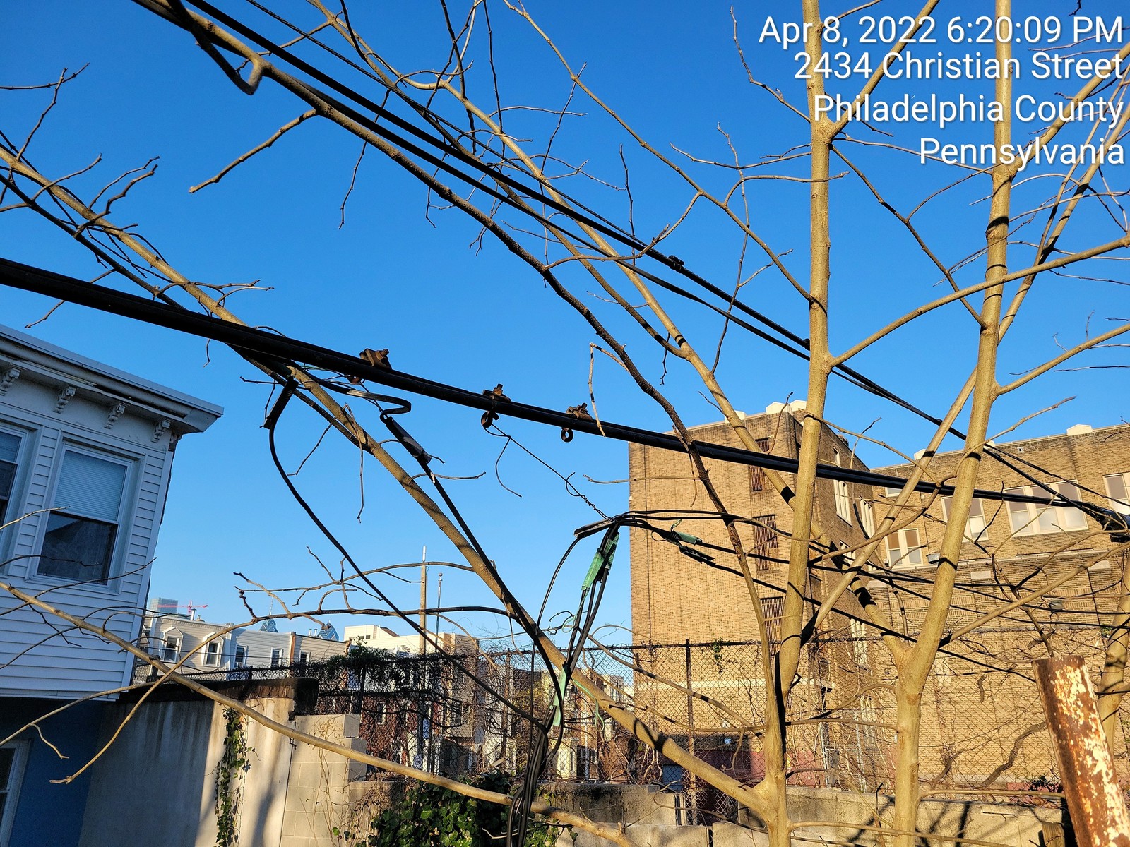 Photographic documentation of the work as submitted to the city's 311 record.