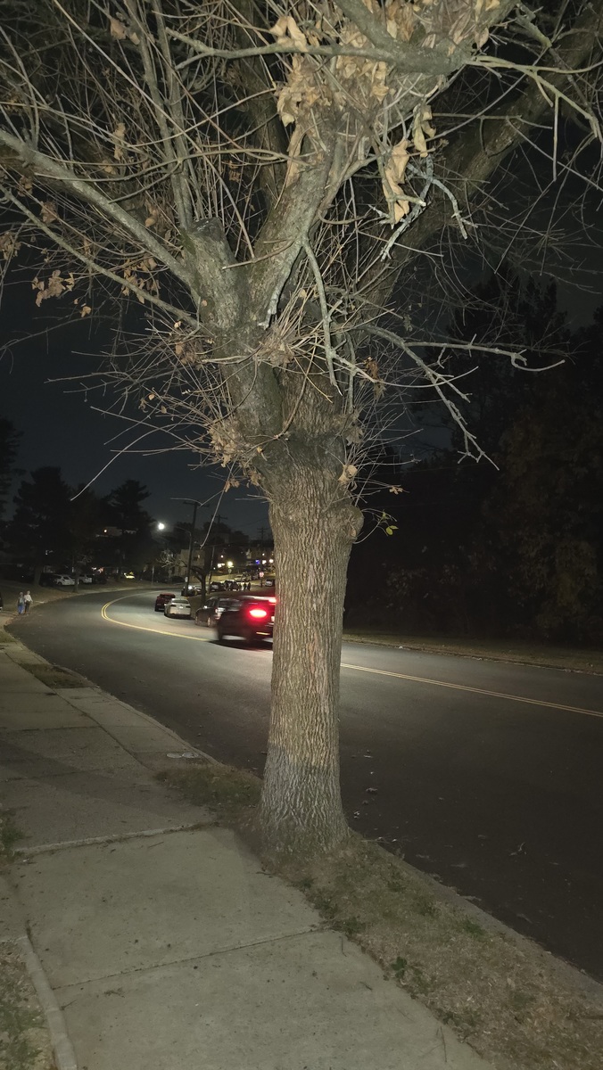 Photographic documentation of the work as submitted to the city's 311 record.