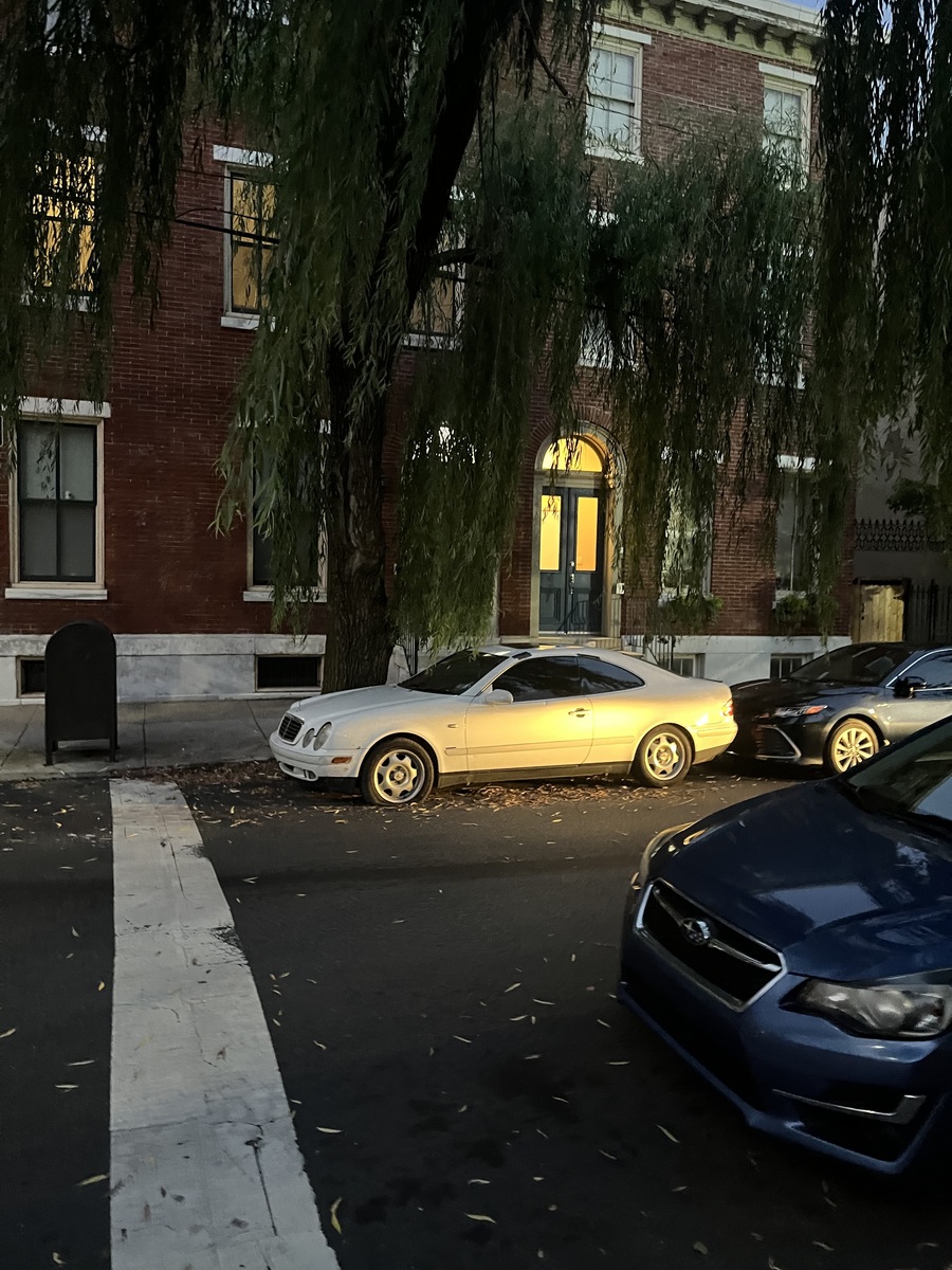 Photographic documentation of the work as submitted to the city's 311 record.