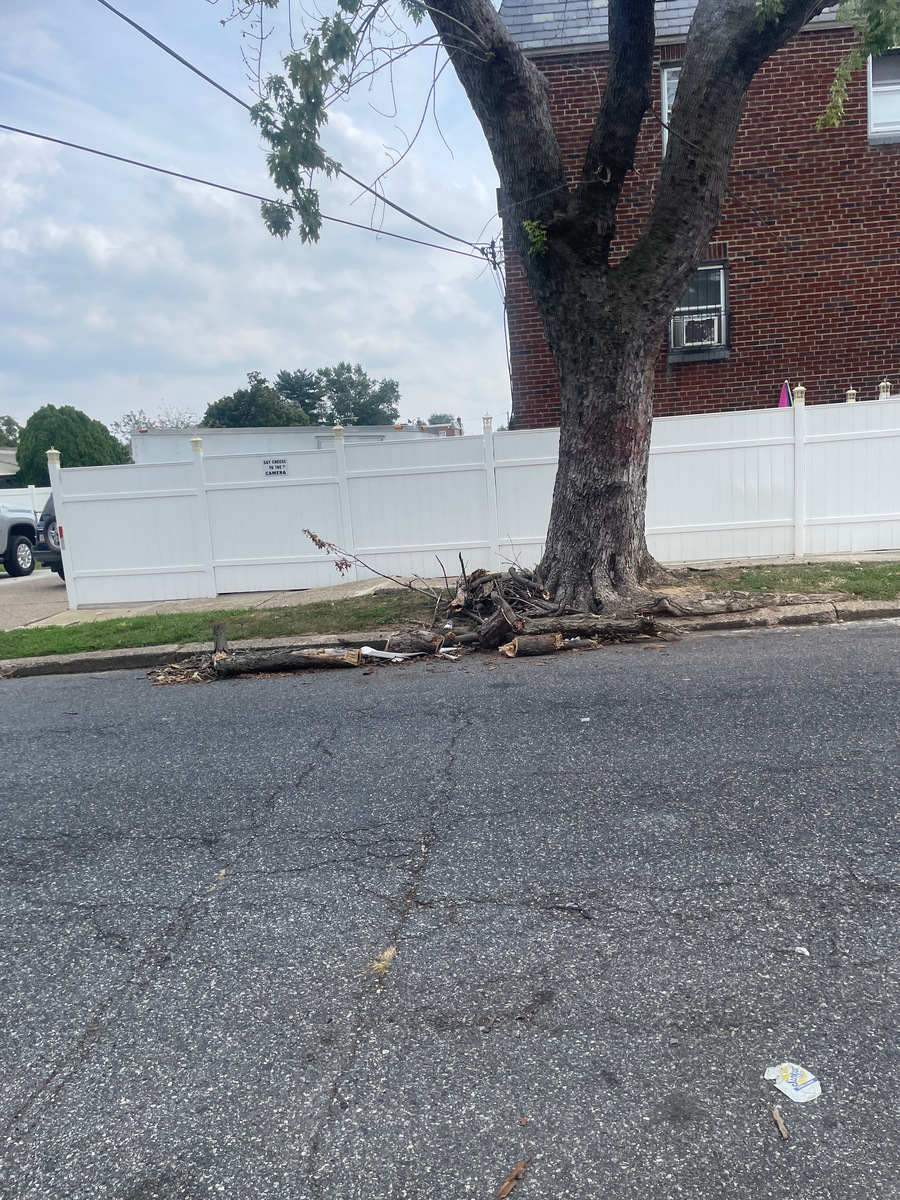 Photographic documentation of the work as submitted to the city's 311 record.
