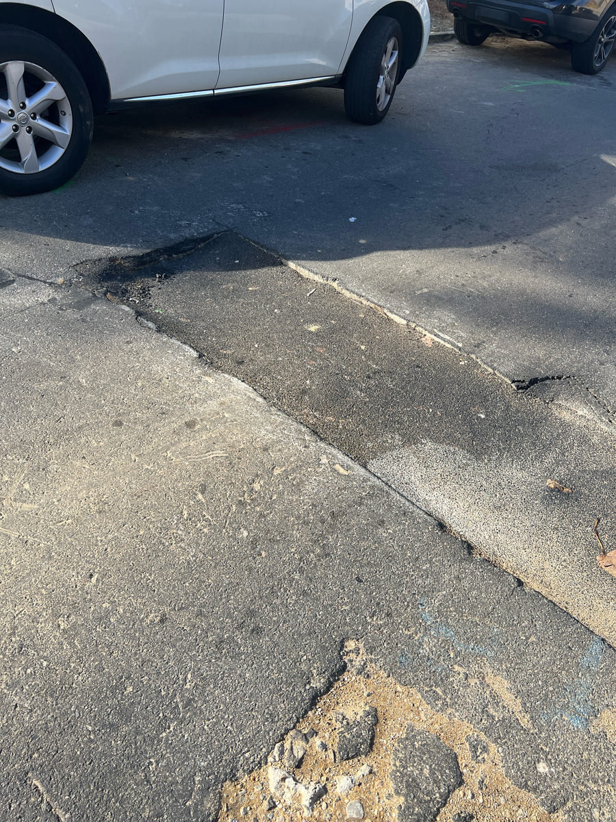 Photographic documentation of the work as submitted to the city's 311 record.
