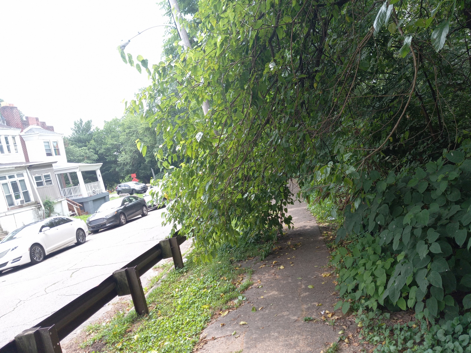 Photographic documentation of the work as submitted to the city's 311 record.