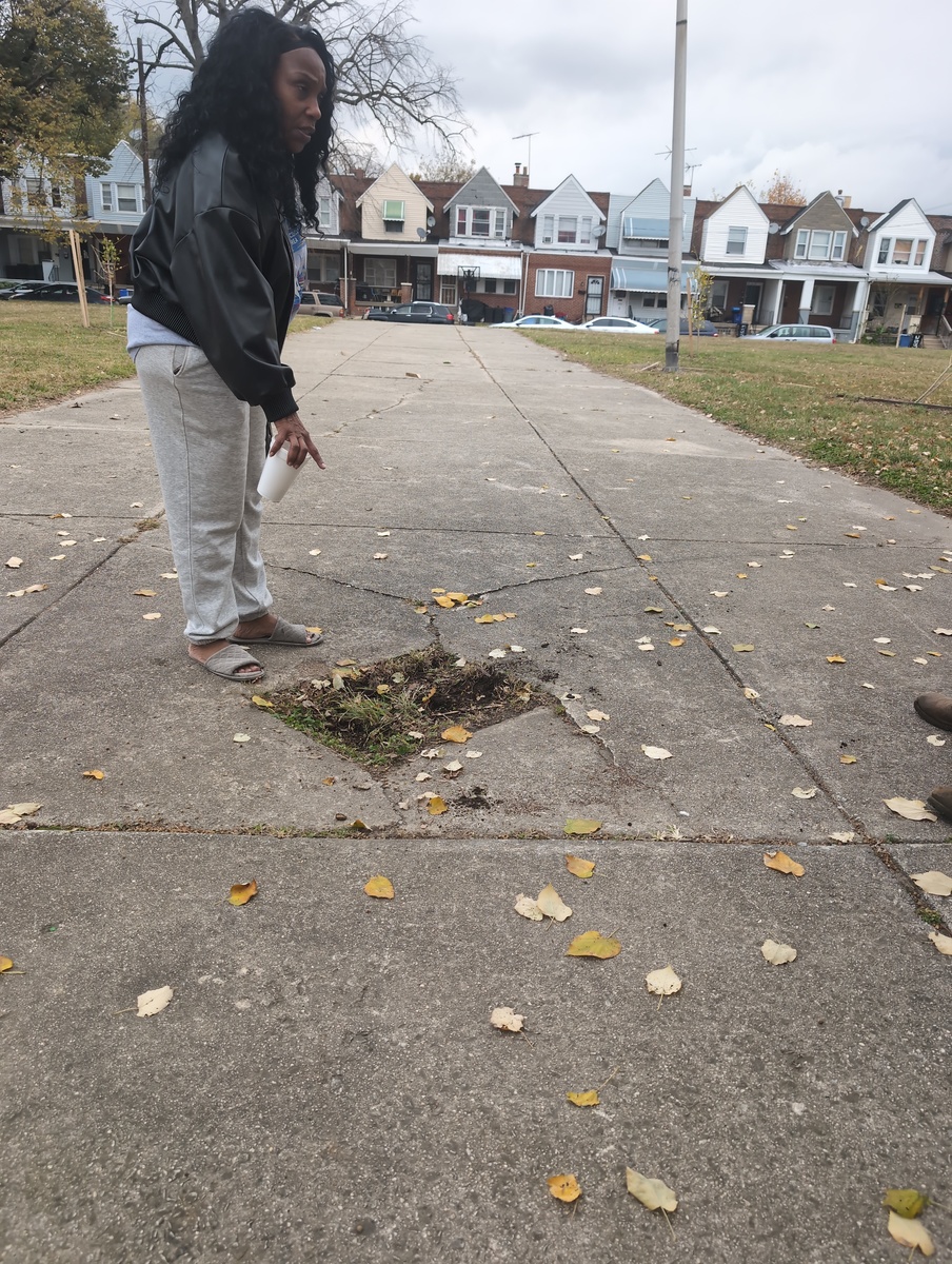 Photographic documentation of the work as submitted to the city's 311 record.