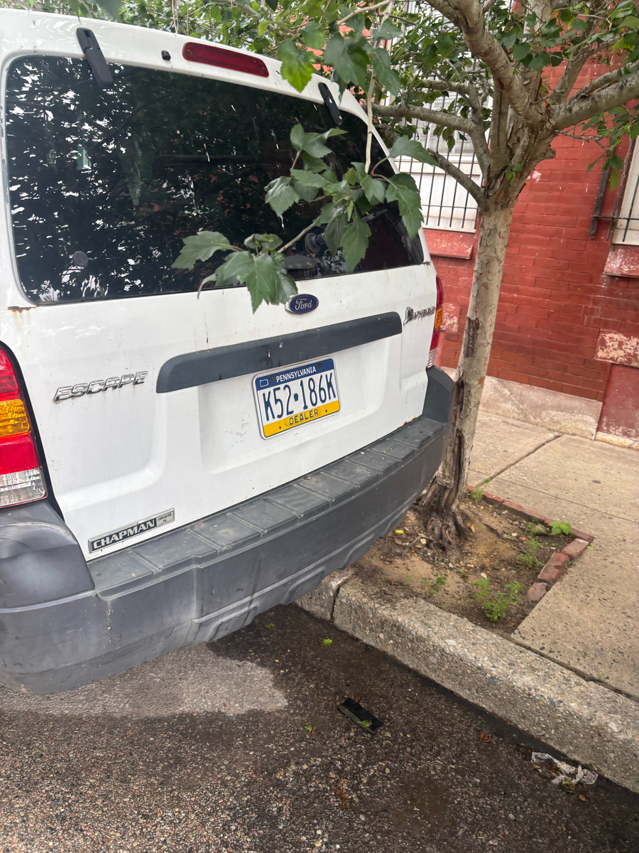 Photographic documentation of the work as submitted to the city's 311 record.