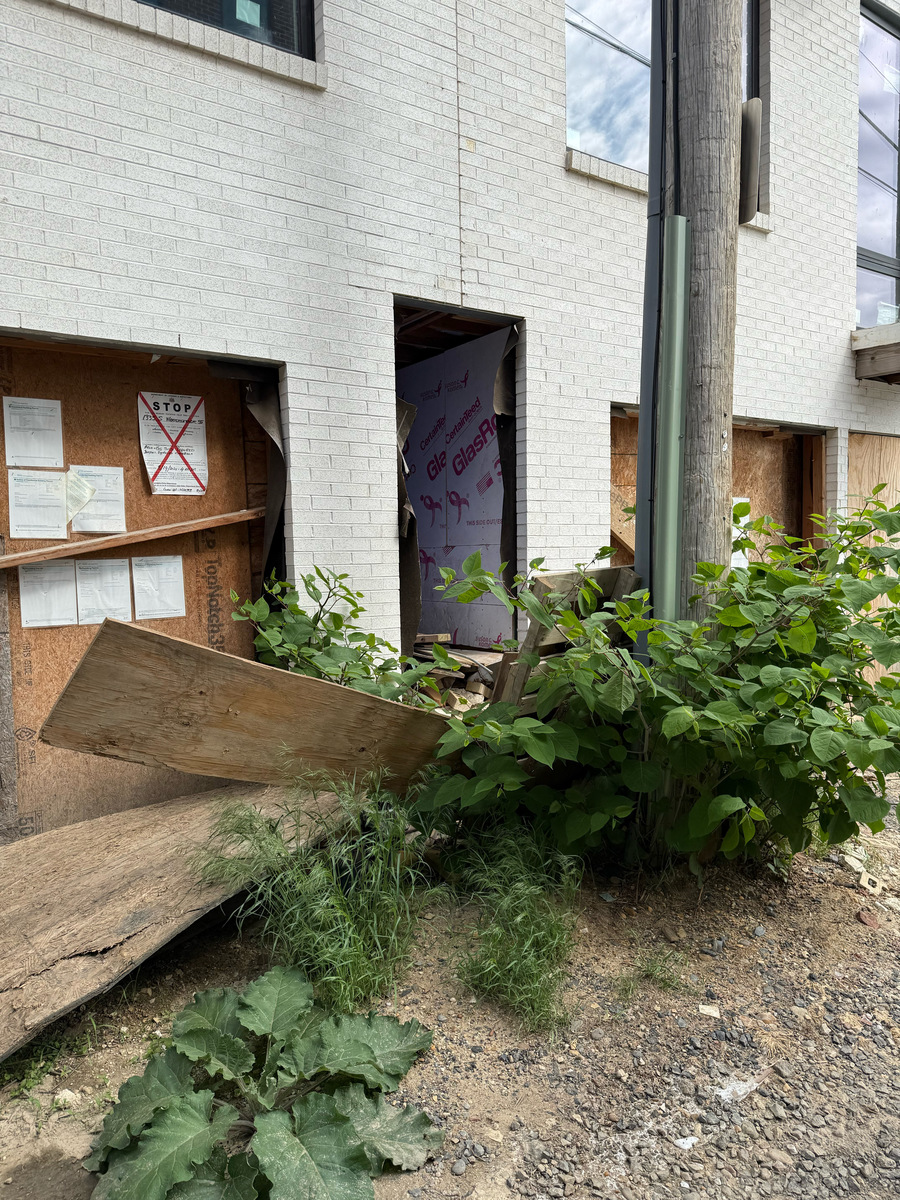 Photographic documentation of the work as submitted to the city's 311 record.