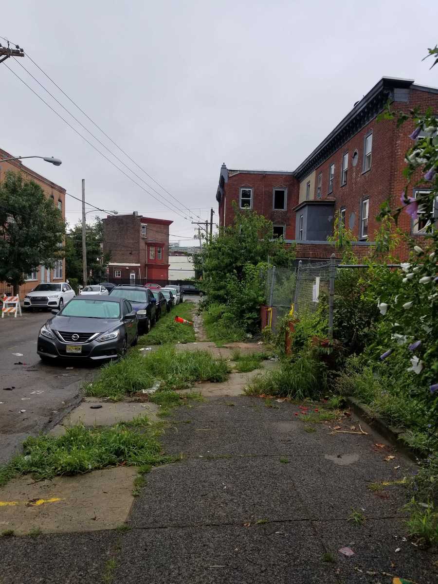 Photographic documentation of the work as submitted to the city's 311 record.