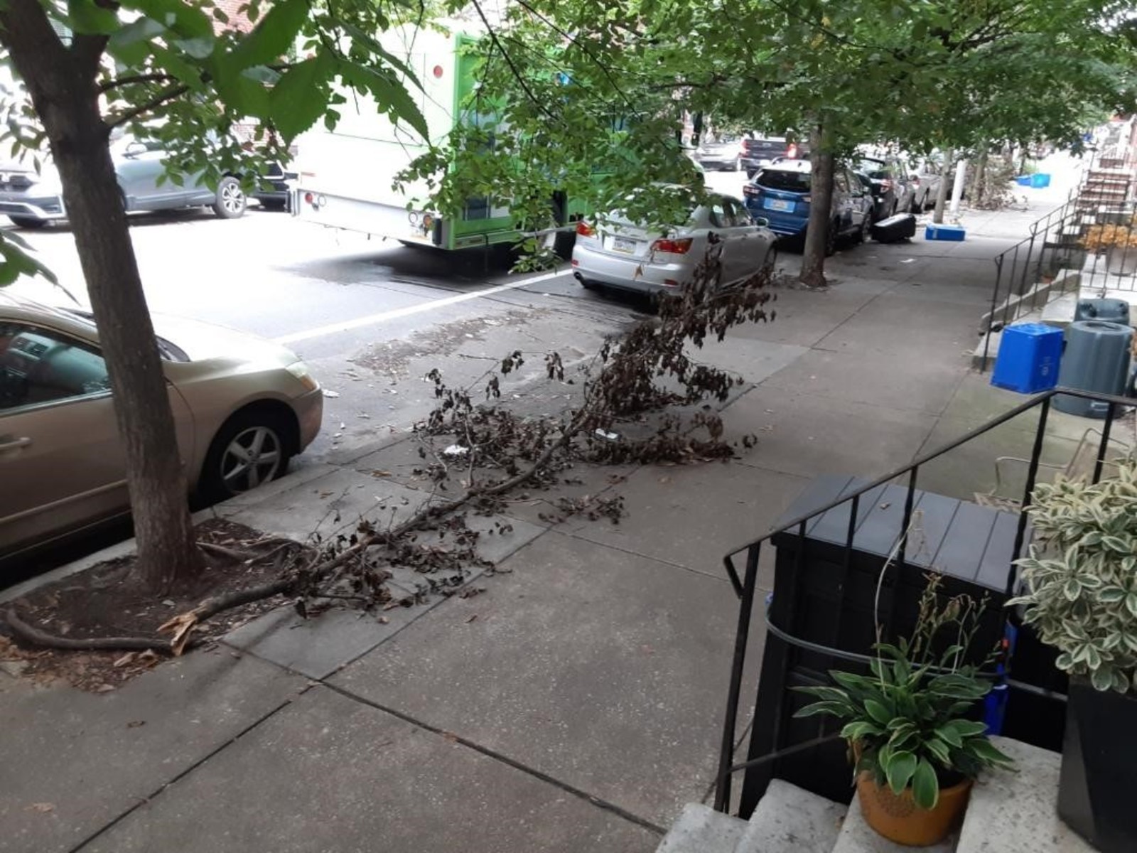 Photographic documentation of the work as submitted to the city's 311 record.
