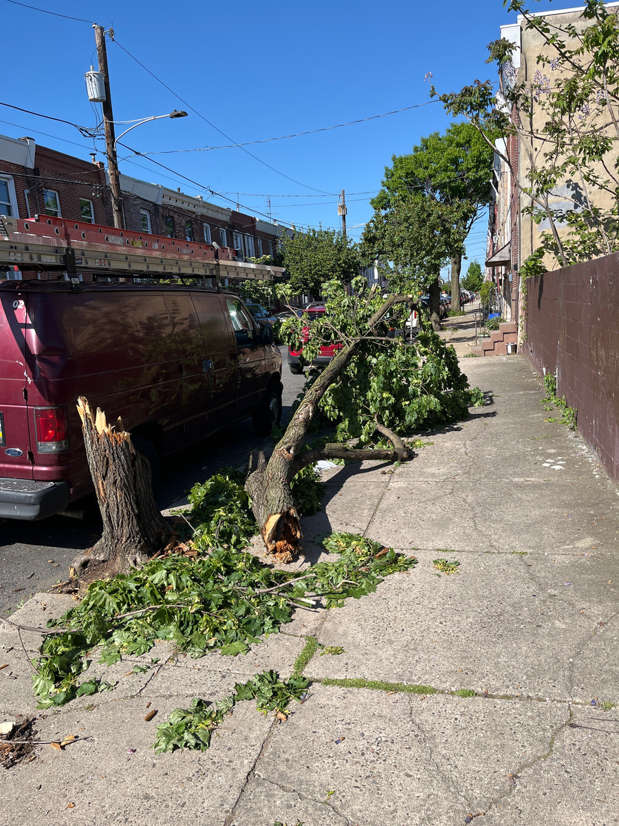 Photographic documentation of the work as submitted to the city's 311 record.