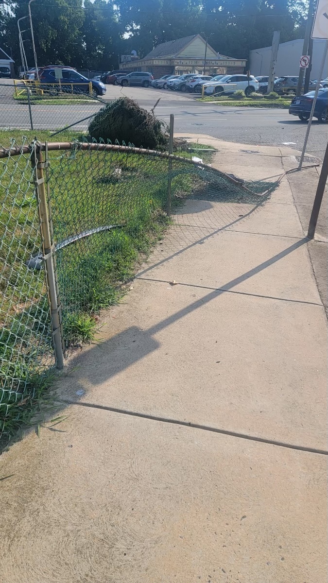 Photographic documentation of the work as submitted to the city's 311 record.